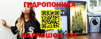 мяу мяу мука Будённовск