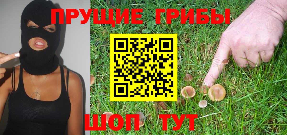Псилоцибиновые грибы Psilocybine cubensis Самара