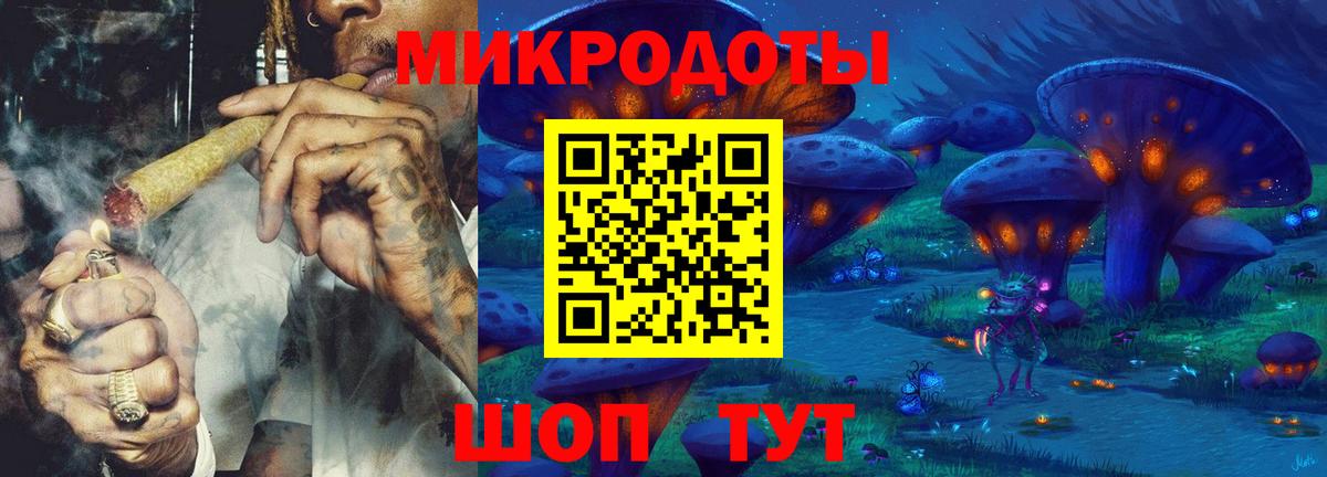 Самара  даркнет сайт  Вход с VPN  Псилоцибиновые грибы прущие грибы  Псилоцибиновые грибы Psilocybe 
